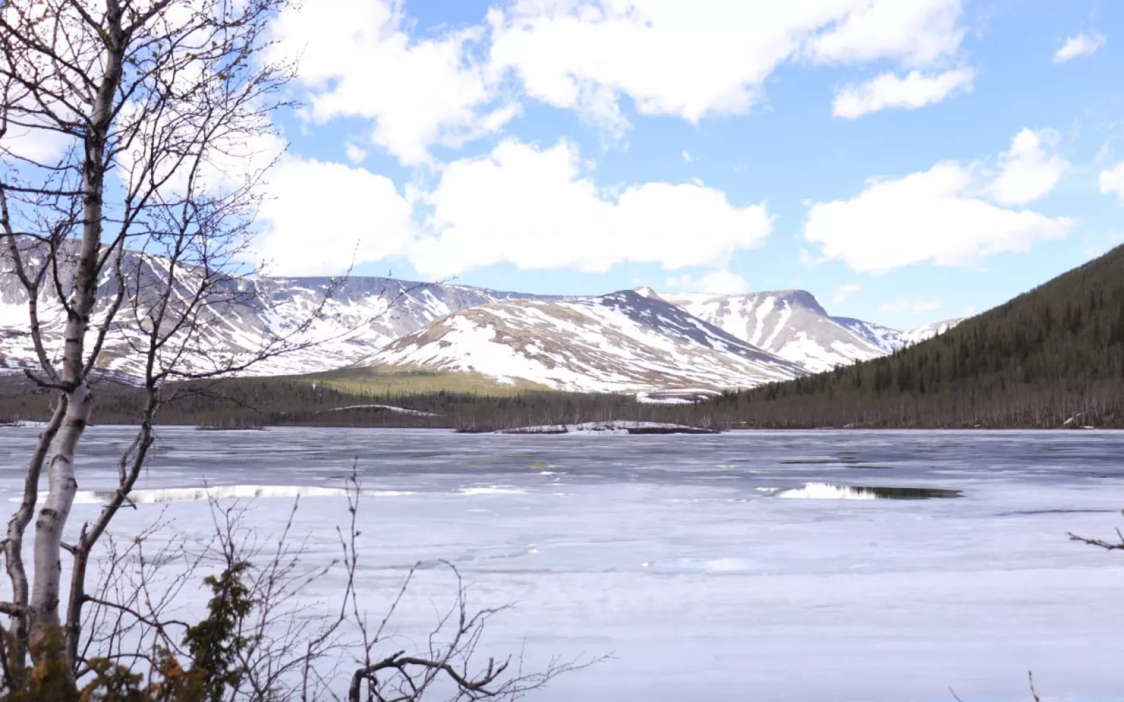 Фотография Туры в Мурманскую область