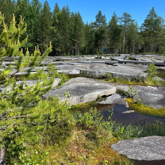 Фотография 2 - Переезд в Апатиты. Беломоро-Балтийский канал. Беломорские петроглифы