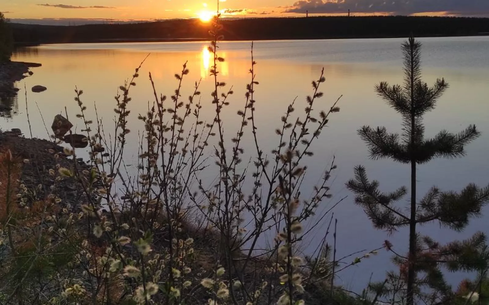 Фотография Отпуск за Полярным кругом 07.03.2026