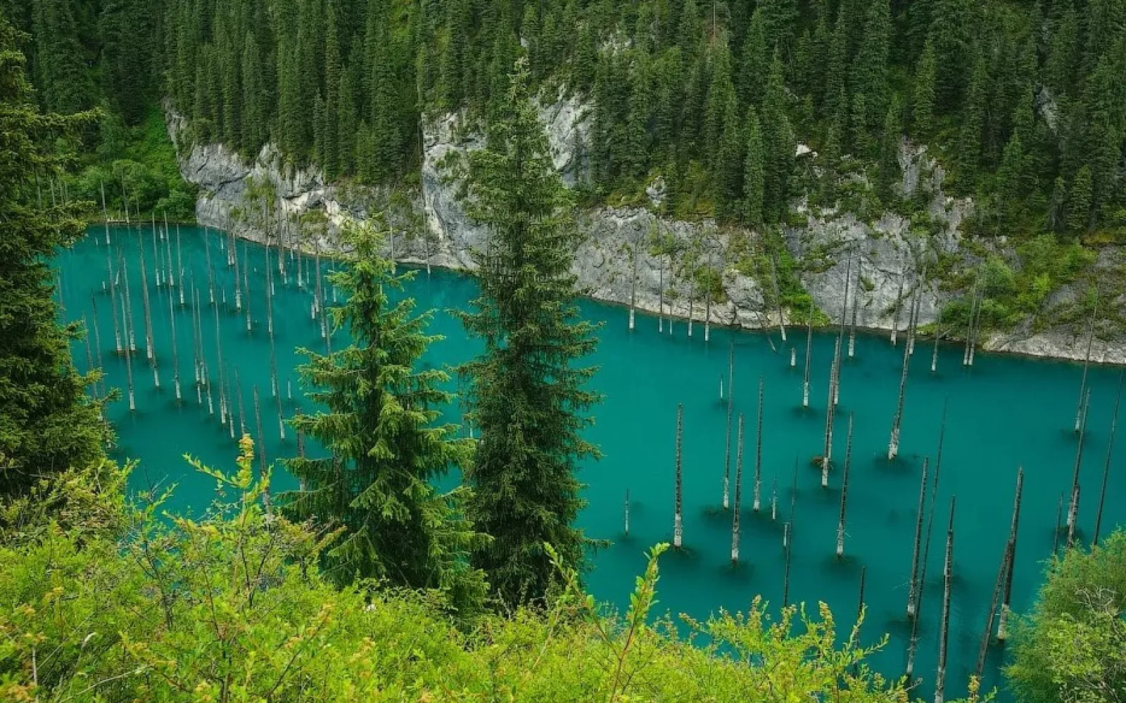 Фотография Авиатуры в Казахстан