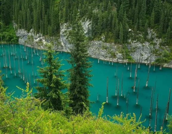 Изображение - Авиатуры в Казахстан